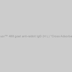 Image of iFluor™ 488 goat anti-rabbit IgG (H+L) *Cross Adsorbed*